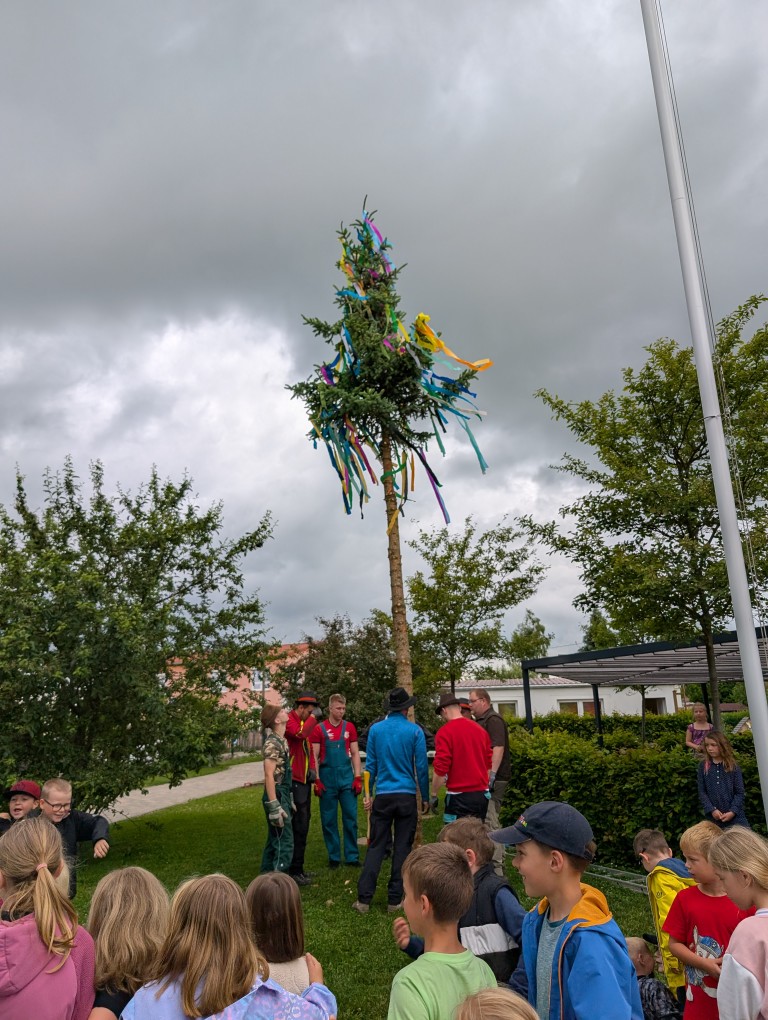 Pfingstbaum